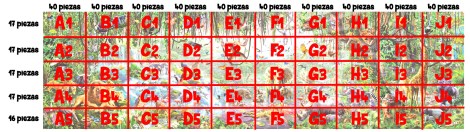 Patrón despiece 33600